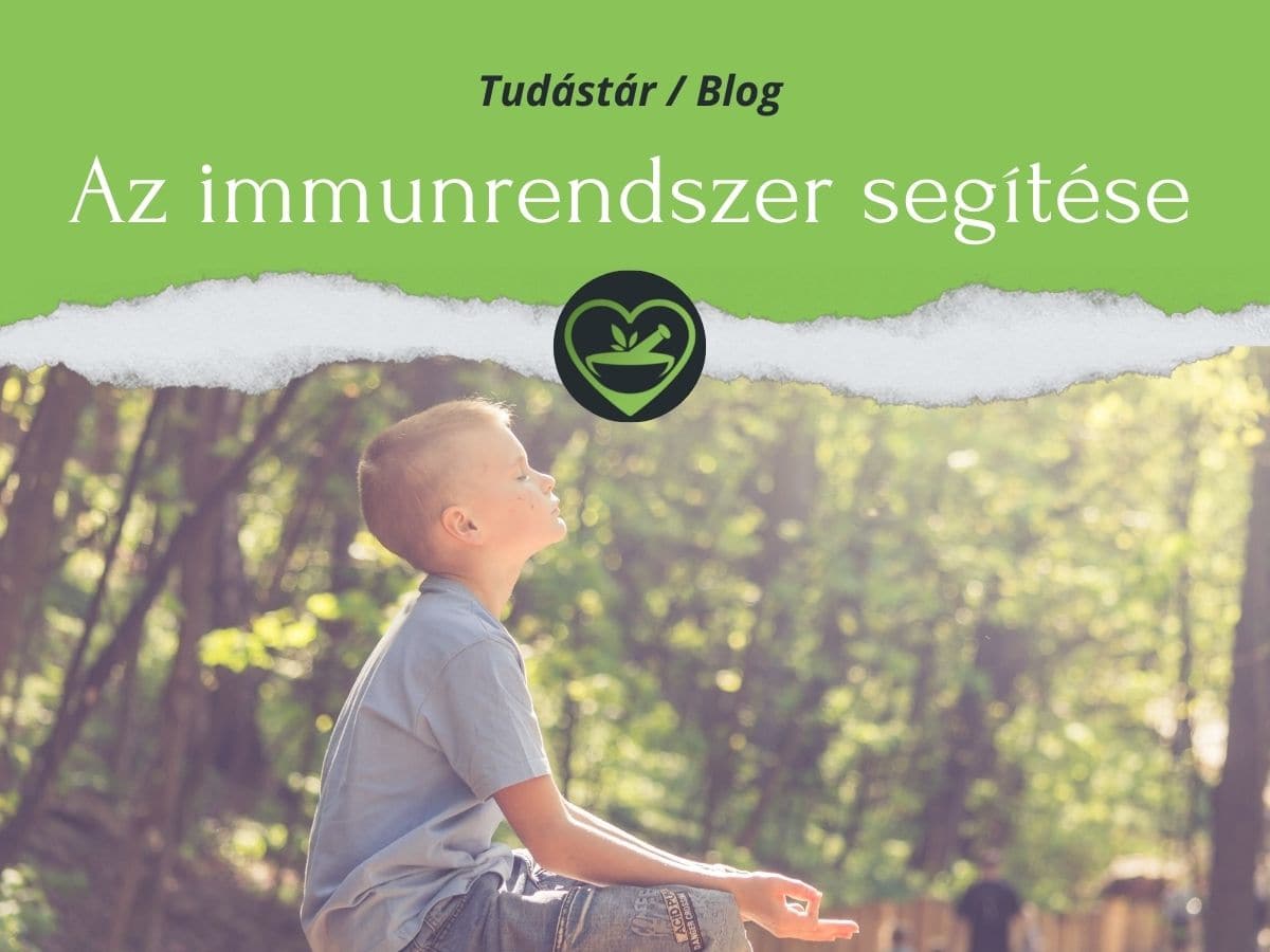 Read more about the article Az immunrendszer segítése